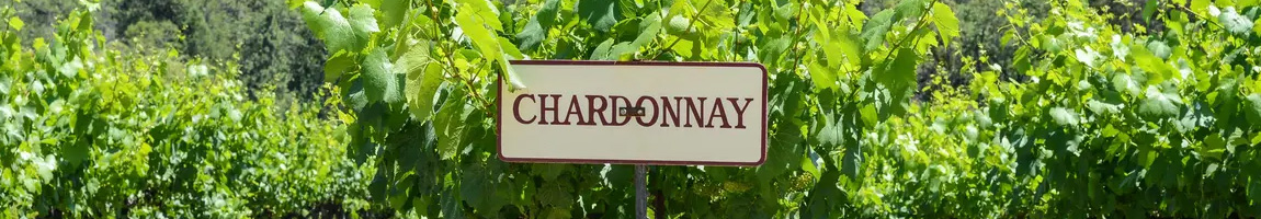 Vini Chardonnay