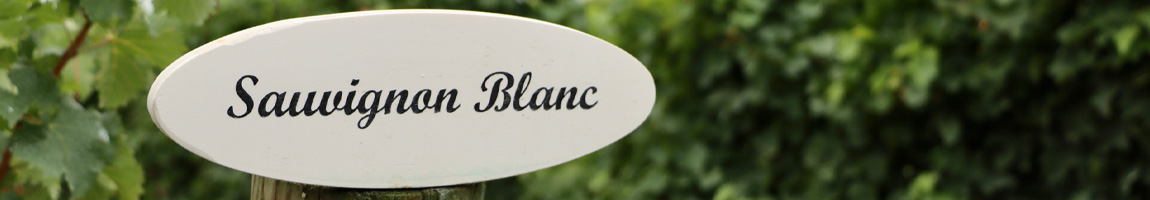 Vini Sauvignon Blanc