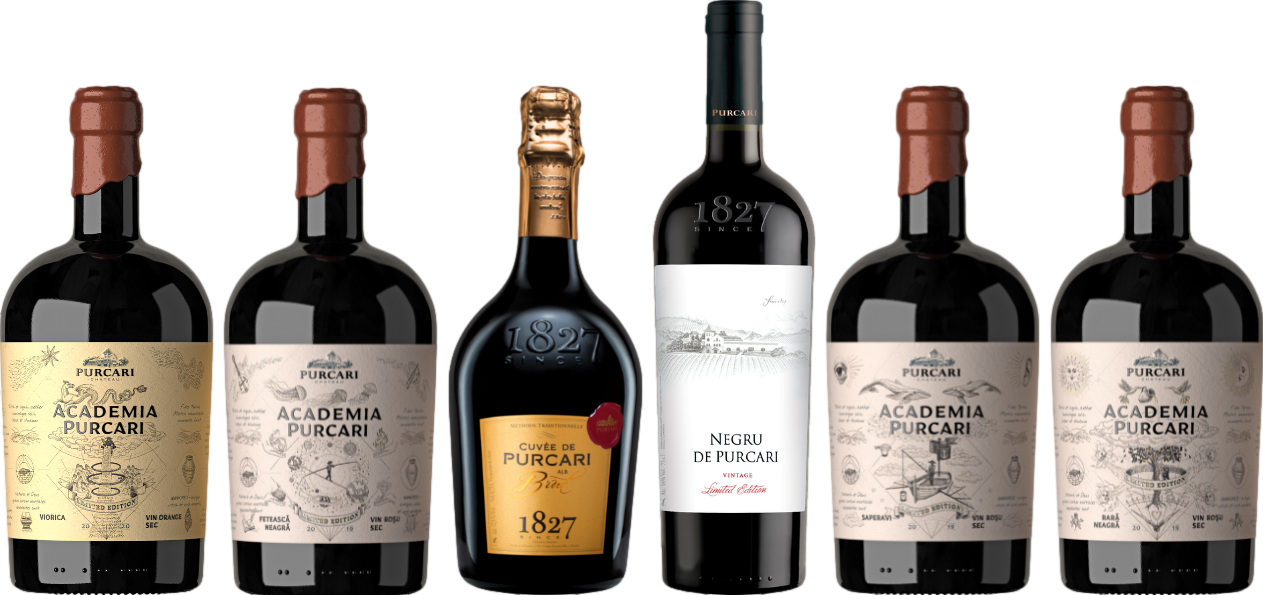 Caso Degustazione Premium di Vino Moldavo Chateau Purcari