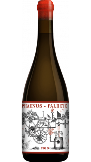 Bottle of Aphros Phaunus Amphora Palhete 2019 wine 750 ml