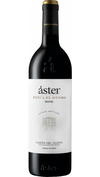 Bottle of Aster Finca El Otero 2016 wine 750 ml