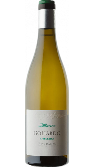 Bottle of Bodegas Forjas del Salnes Goliardo A Telleira Albarino 2020 wine 750 ml