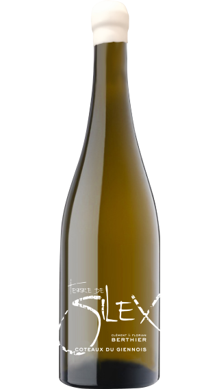 Bottle of Clement & Florian Berthier Coteaux du Giennois Terre de Silex 2022 wine 750 ml