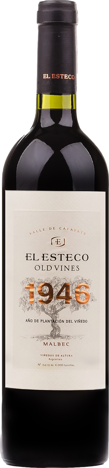 El Esteco Old Vines Malbec 2022