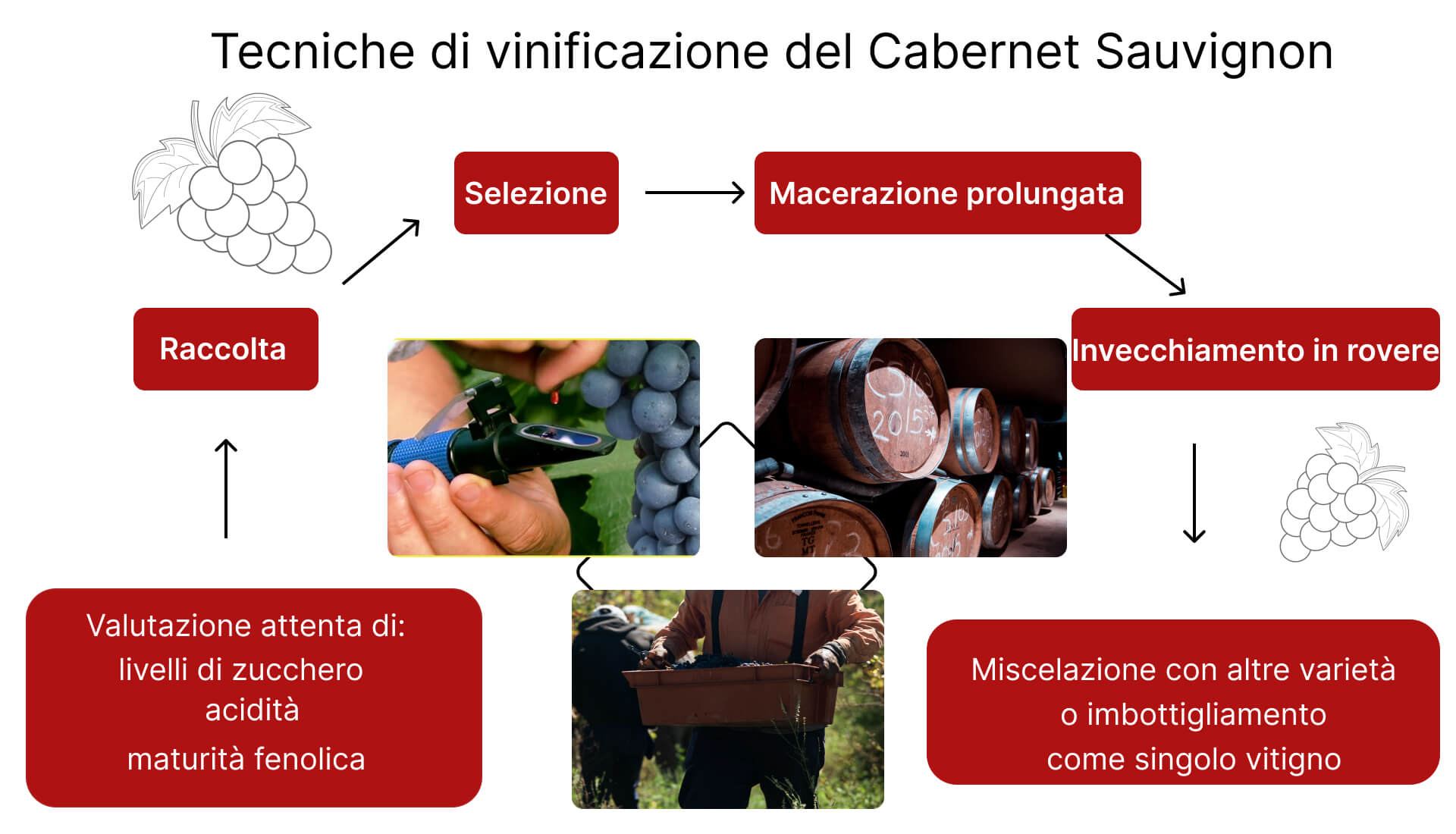 Imbottigliamento del vino - Quattrocalici